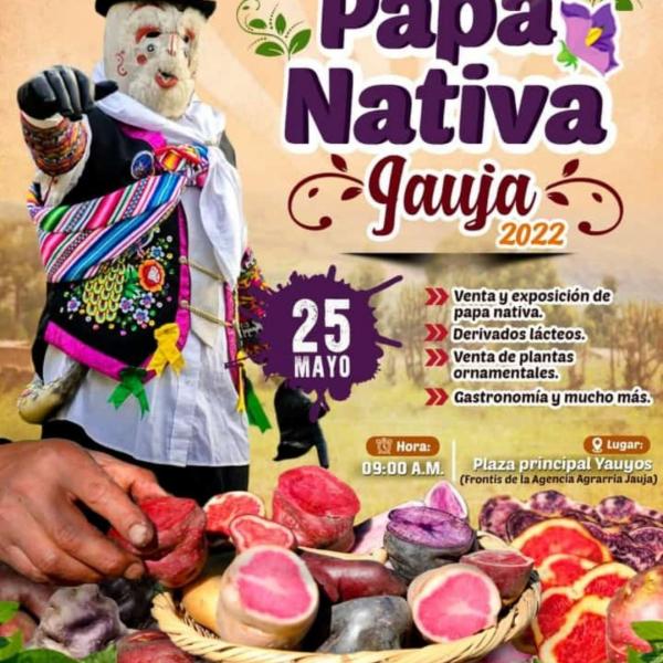 Junín-Jauja-XVIII Festival de papa nativa