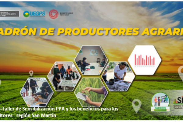 VIDEO-Taller práctico del SISPPA a las Municipalidades de Puno y Cajamarca