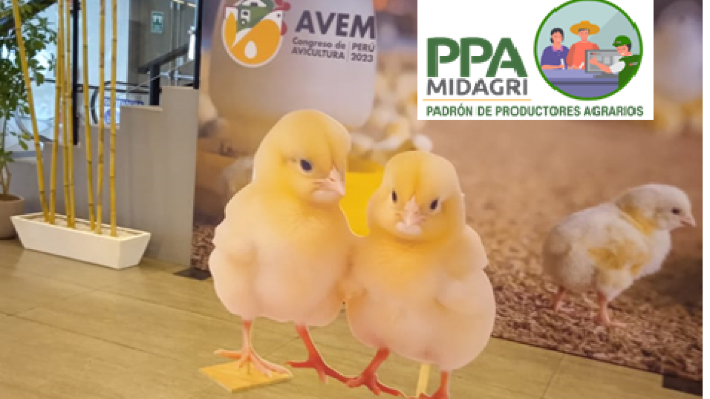El PPA tambien estuvo en el congreso de Avicultura - AVEM 2023