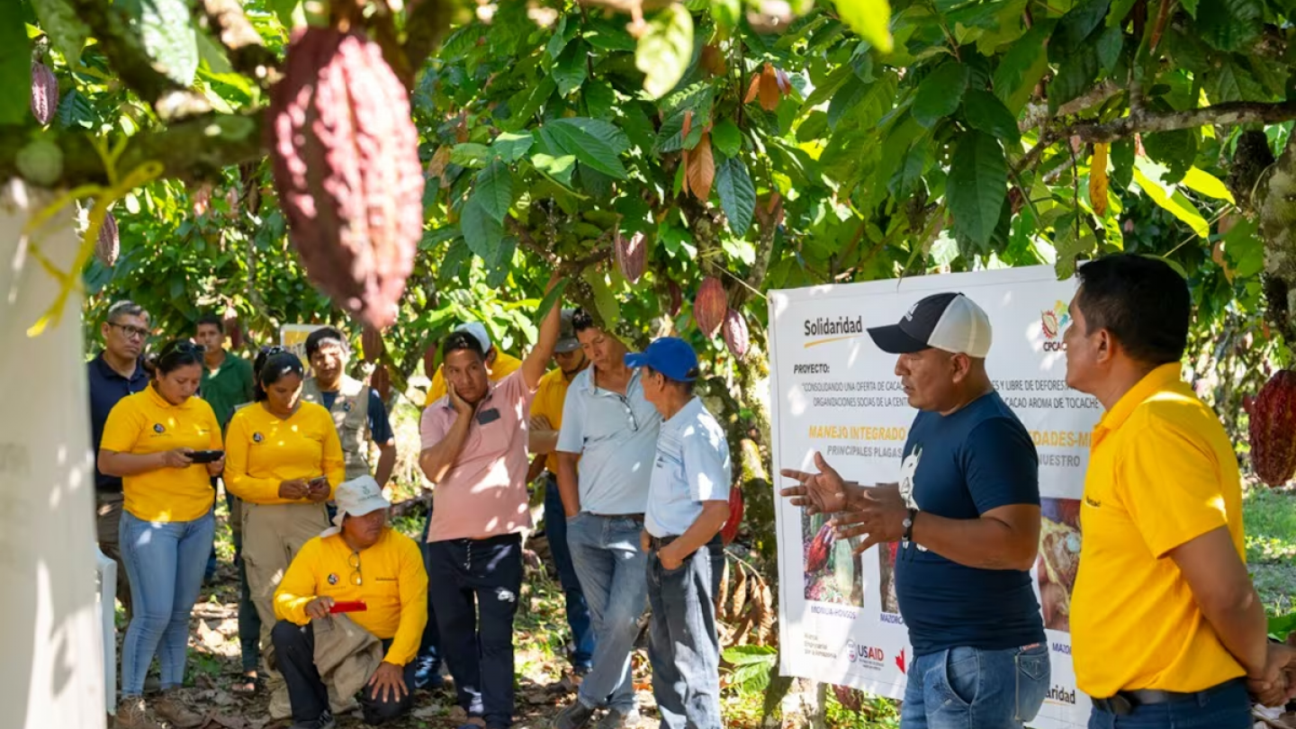 Business Empresarial informa: Perú impulsa una producción libre de deforestación a través de aplicativo para pequeños productores