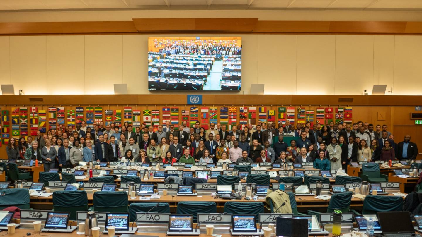 Expertos globales debaten sobre el futuro del monitoreo forestal