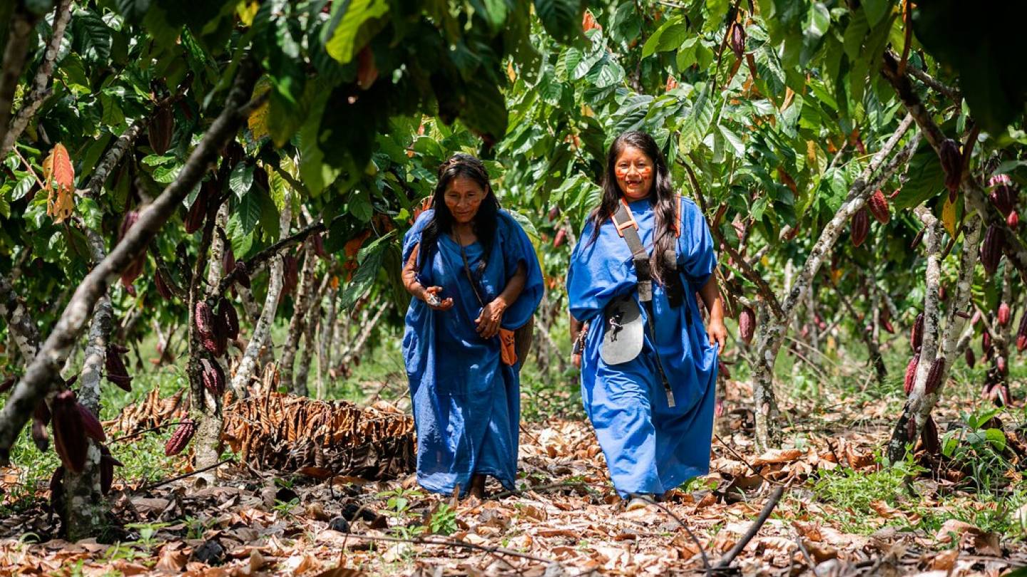 MIDAGRI: crean grupo de trabajo para el desarrollo productivo y comercialización del café, cacao, palma aceitera y otros en la Unión Europea