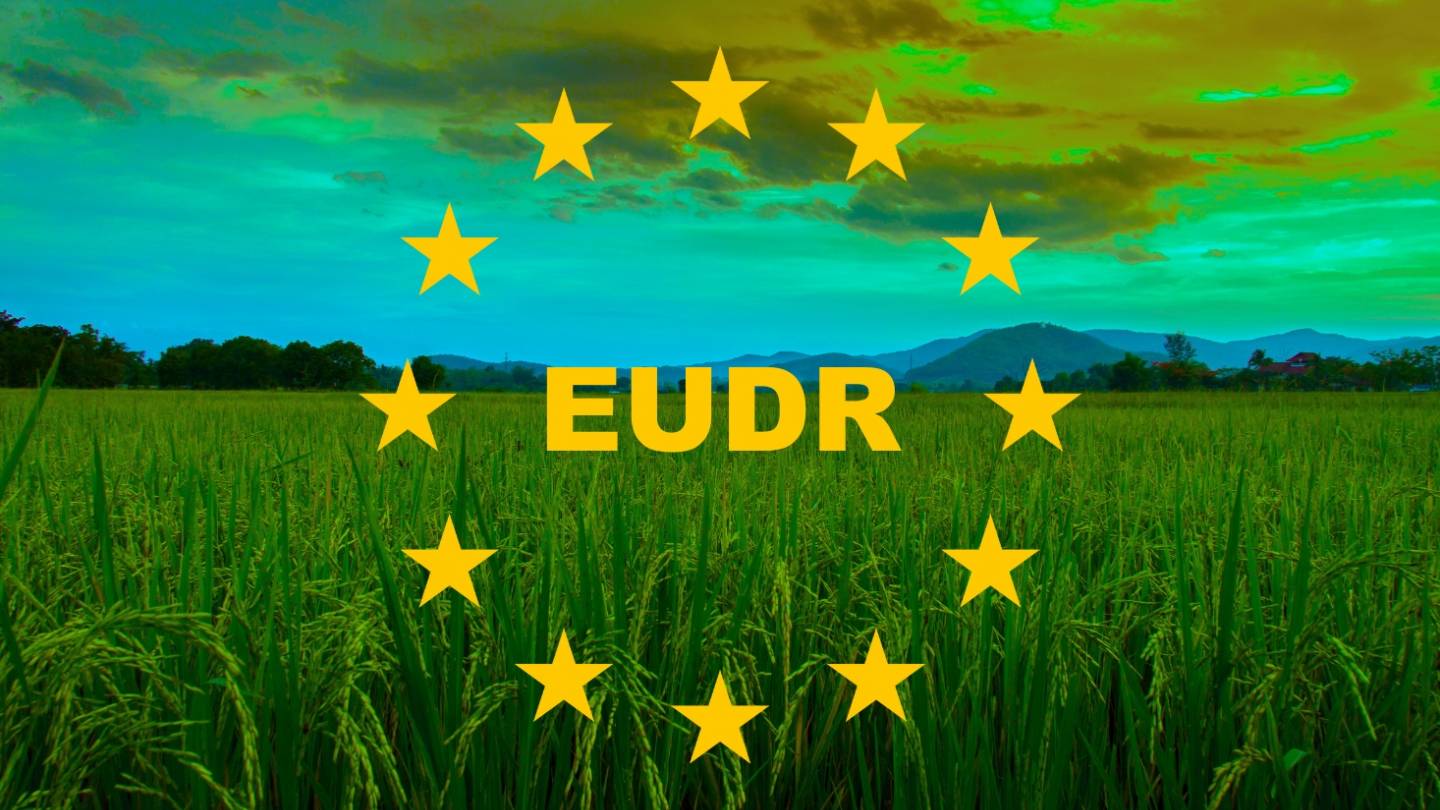 MIDAGRI fortalece diálogo con operadores europeos para facilitar cumplimiento del EUDR