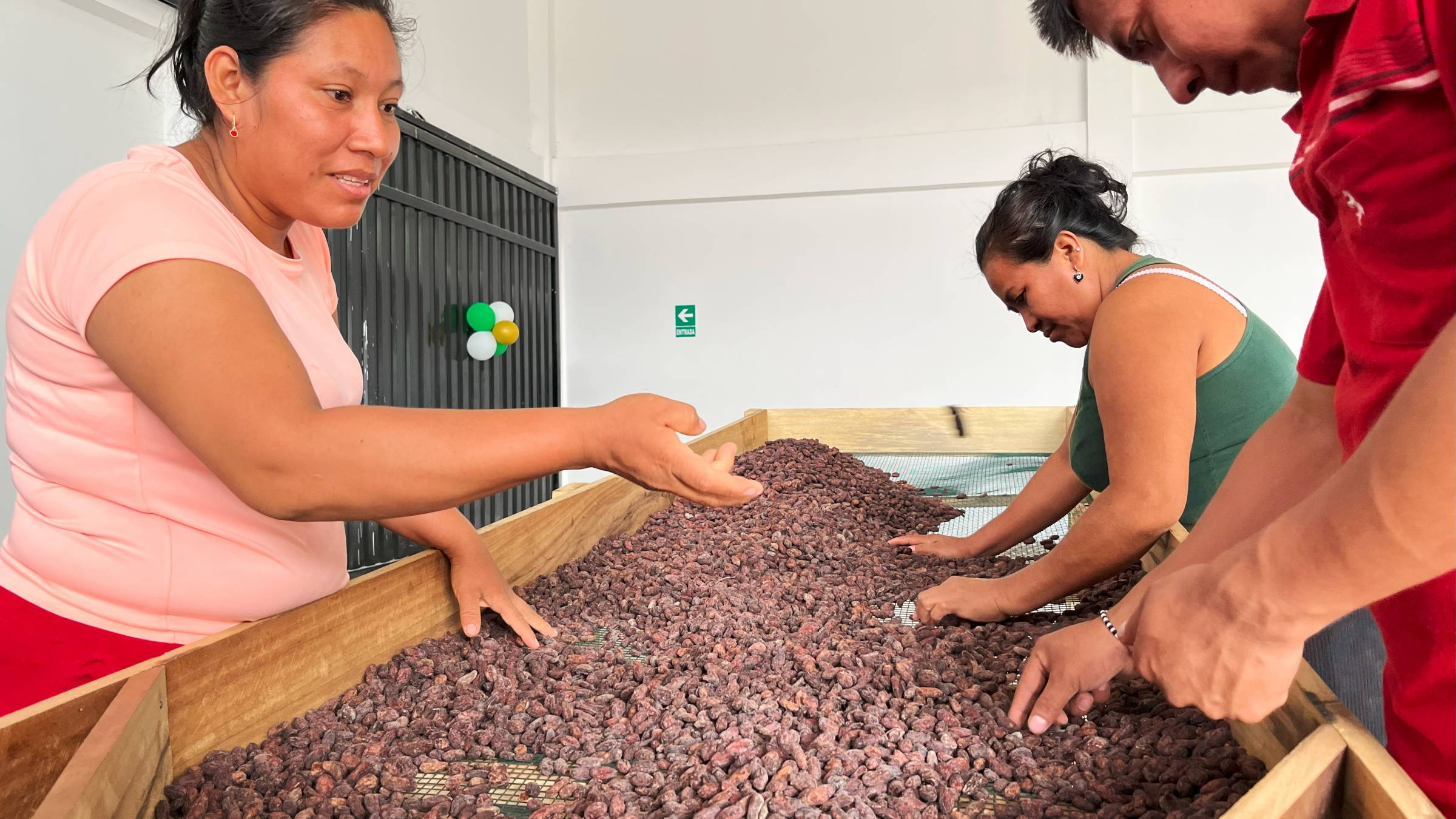 MIDAGRI: Perú se alista para exportar café y cacao sostenibles bajo reglamento europeo EUDR