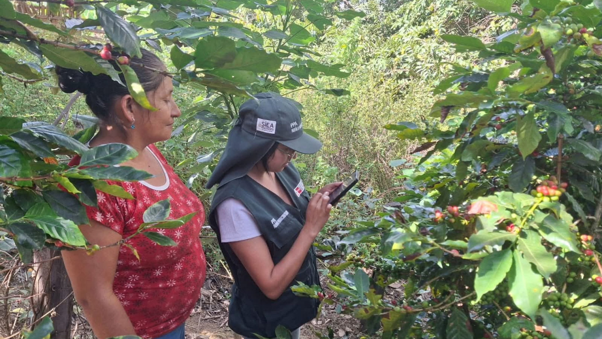 Capacitación a productores en el uso del Agro Digital