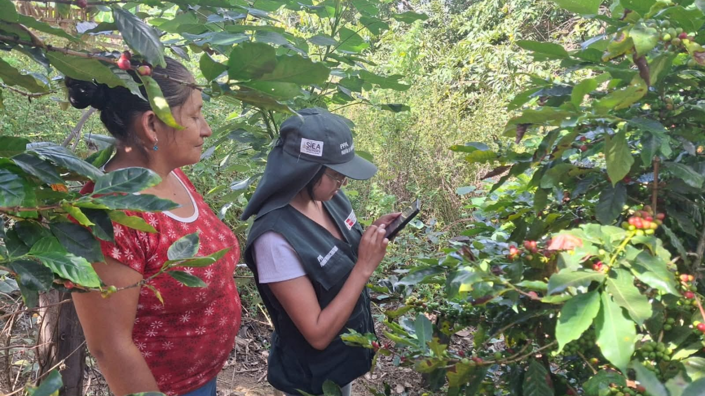 Capacitación a productores en el uso del Agro Digital